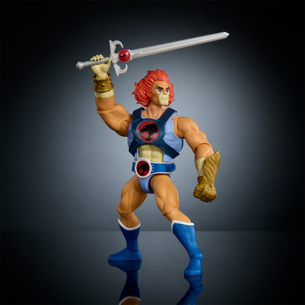 Masters of the Universe Origins and ThunderCats Wave 1 Lion-O Action Figure