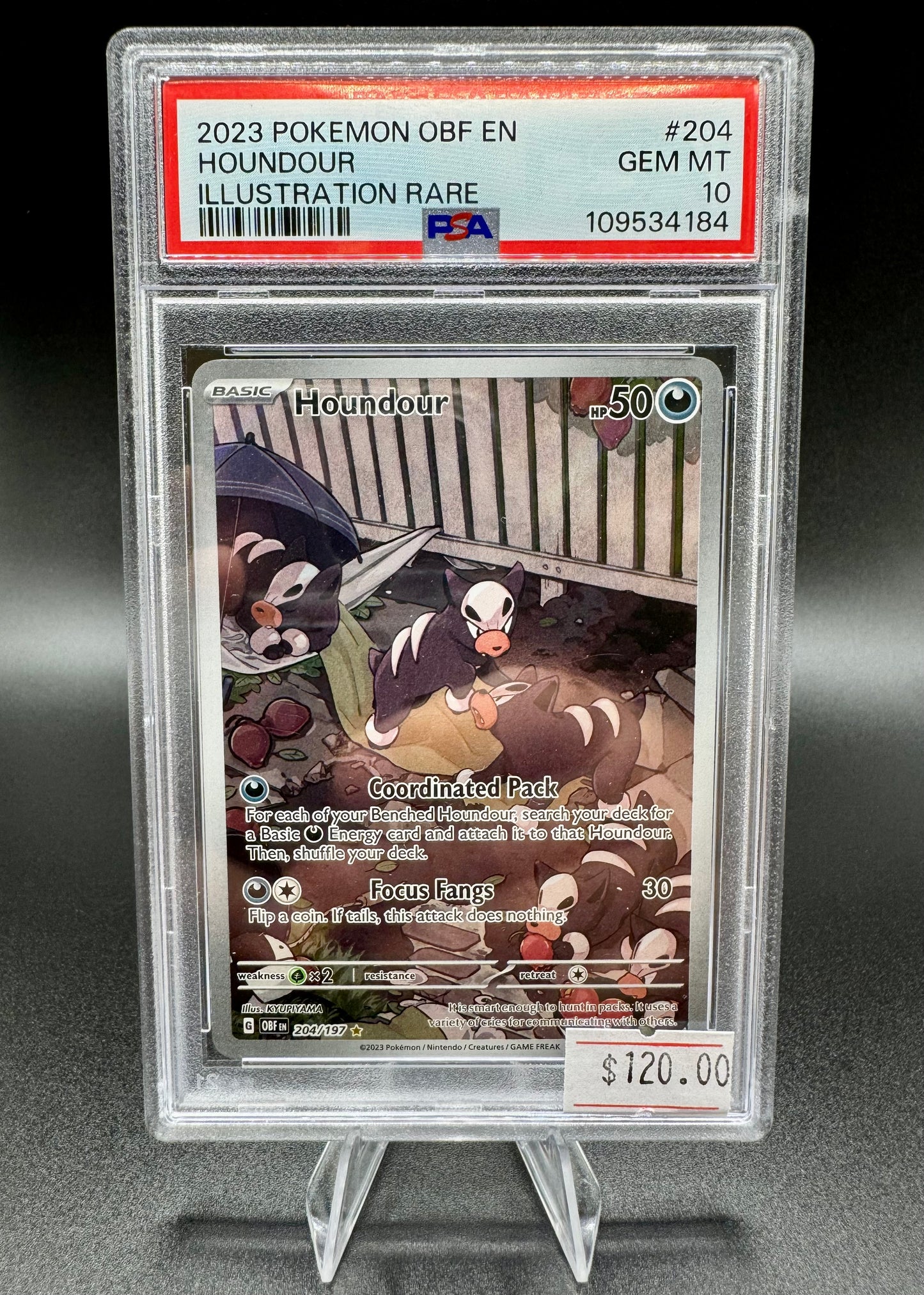 2023 Pokemon OBF EN Houndour Illustration Rare 204 PSA 10